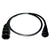 Raymarine Transducer Adapter Cable f/DSM30 & DSM300 [E66066] - Rough Seas Marine