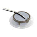 Hella Marine Polished Stainless Steel Rim LED Courtesy Lamp - Blue [980503221] - Rough Seas Marine