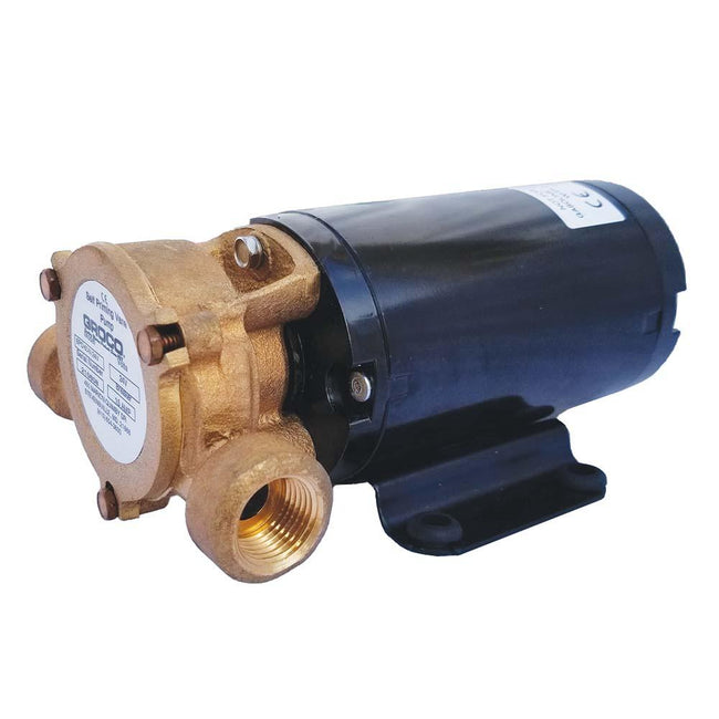 GROCO Heavy Duty Positive Displacement Vane Pump - 12V [SPO-60-N 12V] - Rough Seas Marine