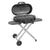 Coleman RoadTrip 285 Portable Stand Up Propane Grill [2000033052] - Rough Seas Marine