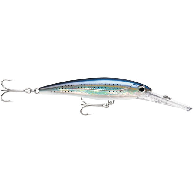 Rapala X-Rap Magnum 15 Spotted Minnow [XRMAG15SPM] - Rough Seas Marine