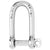 Wicahrd Self-Locking Long D Shackle - Diameter 5mm - 3/16" [01212] - Rough Seas Marine