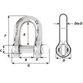 Wichard Captive Pin D Shackle - Diameter 10mm - 13/32" [01405] - Rough Seas Marine