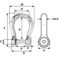 Wichard Self-Locking Allen Head Pin Bow Shackle - 6mm Diameter - 1/4" [01343] - Rough Seas Marine