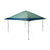 Coleman OASIS 13 x 13 Canopy - Canopy Moss [2156426] - Rough Seas Marine